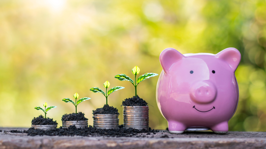 Funding options for small businesses in Manchester image of plants growing on coins